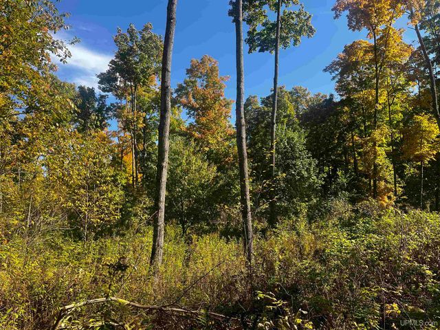 E 4104 Storm Road, Chatham, MI 49816