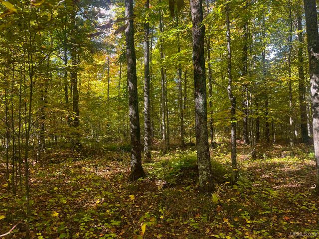 E 4104 Storm Road, Chatham, MI 49816