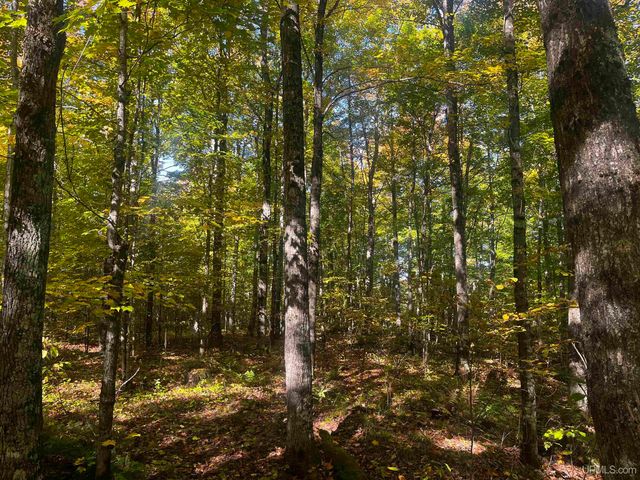 E 4104 Storm Road, Chatham, MI 49816