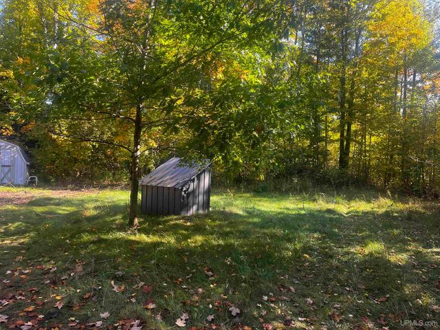 E 4104 Storm Road, Chatham, MI 49816