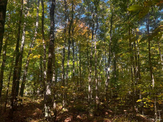 E 4104 Storm Road, Chatham, MI 49816