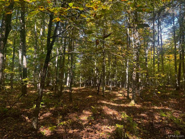 E 4104 Storm Road, Chatham, MI 49816