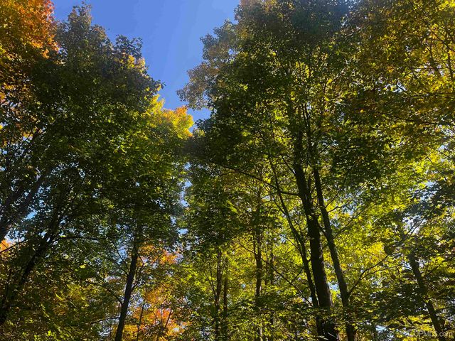 E 4104 Storm Road, Chatham, MI 49816