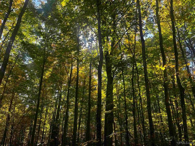 E 4104 Storm Road, Chatham, MI 49816