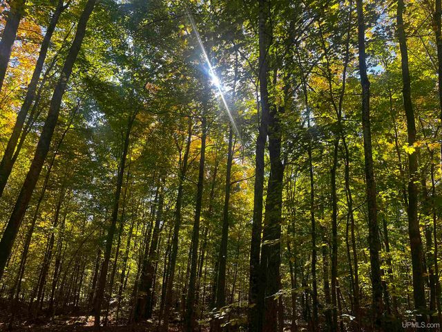 E 4104 Storm Road, Chatham, MI 49816