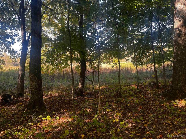 E 4104 Storm Road, Chatham, MI 49816