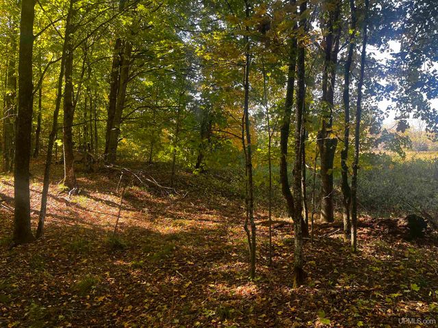 E 4104 Storm Road, Chatham, MI 49816