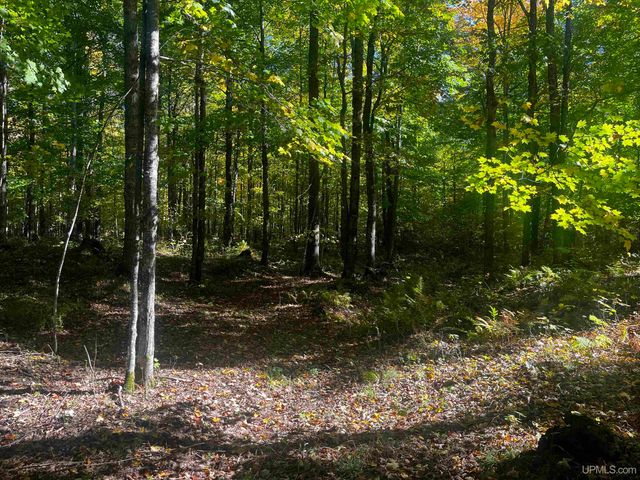 E 4104 Storm Road, Chatham, MI 49816