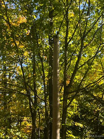 E 4104 Storm Road, Chatham, MI 49816