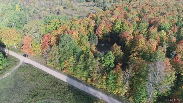 E 4104 Storm Road, Chatham, MI 49816