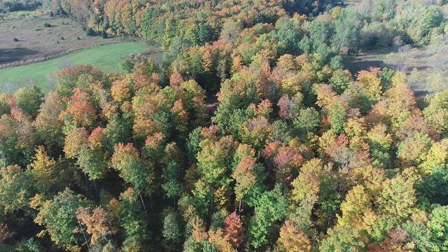 E 4104 Storm Road, Chatham, MI 49816