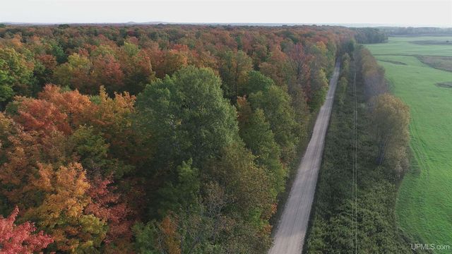 E 4104 Storm Road, Chatham, MI 49816