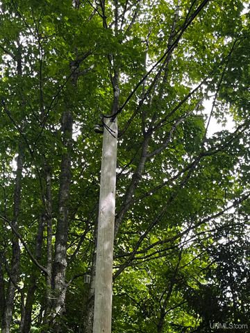 E 4104 Storm Road, Chatham, MI 49816