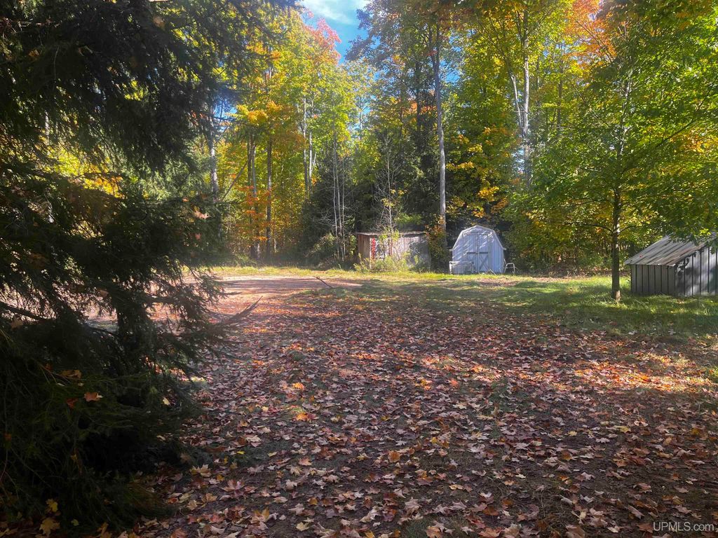 E 4104 Storm Road, Chatham, MI 49816