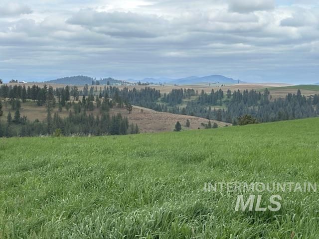 000 Hwy 99, Troy, ID 83871