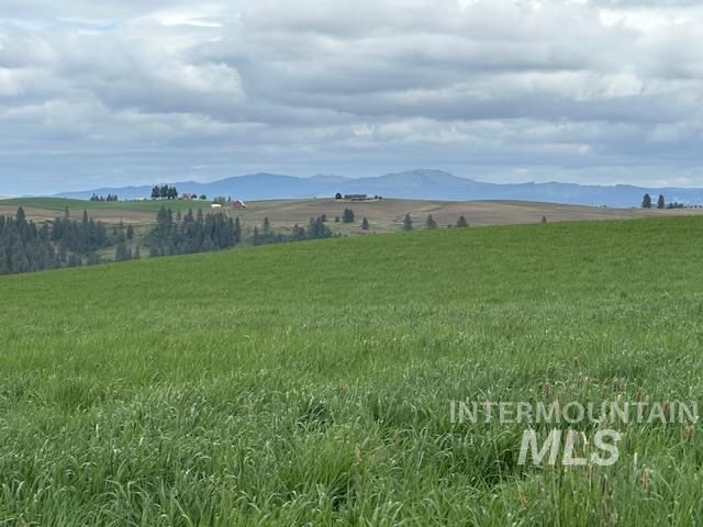 000 Hwy 99, Troy, ID 83871