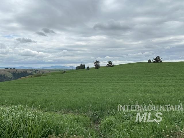 000 Hwy 99, Troy, ID 83871