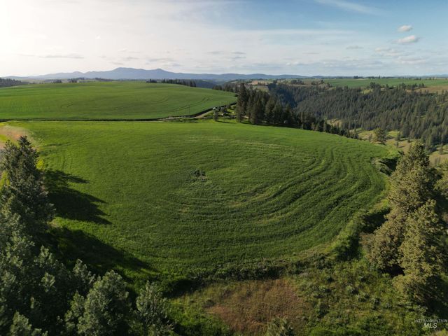 000 Hwy 99, Troy, ID 83871