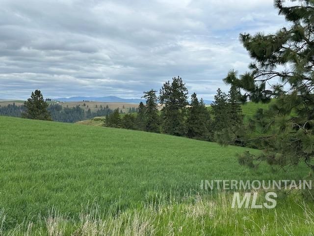 000 Hwy 99, Troy, ID 83871