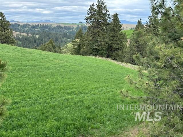000 Hwy 99, Troy, ID 83871