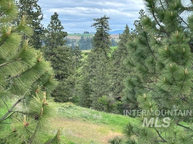 000 Hwy 99, Troy, ID 83871