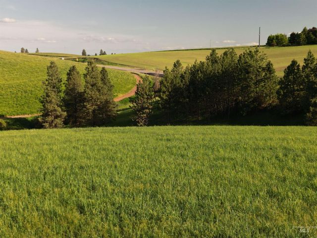000 Hwy 99, Troy, ID 83871