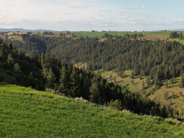000 Hwy 99, Troy, ID 83871