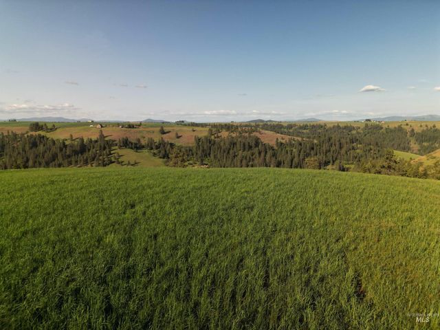 000 Hwy 99, Troy, ID 83871