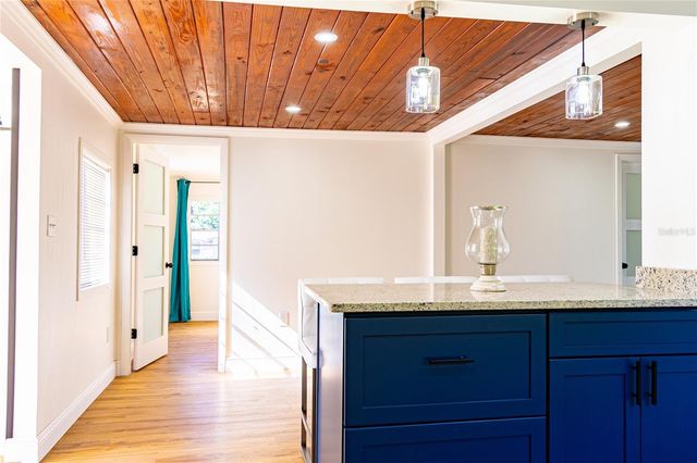 922 CR 482A, Lake Panasoffkee, FL 33538