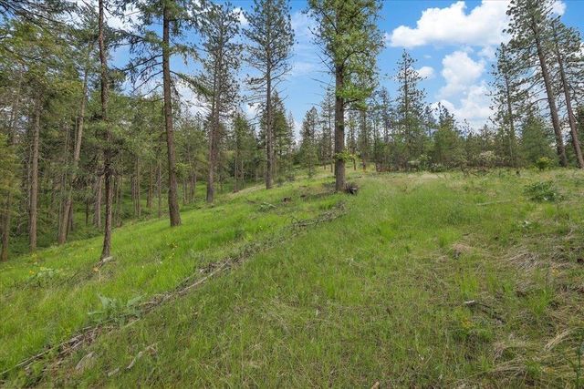 NKA Weaver Way, Deer Park, WA 99006