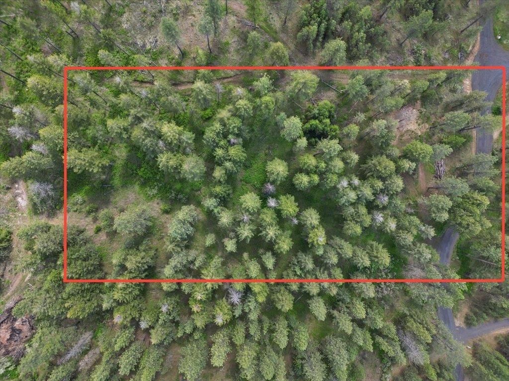 NKA Weaver Way, Deer Park, WA 99006