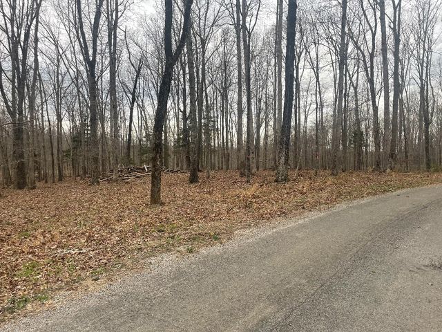 135 Shelton Cemetery Road, Cumberland Furnace, TN 37051
