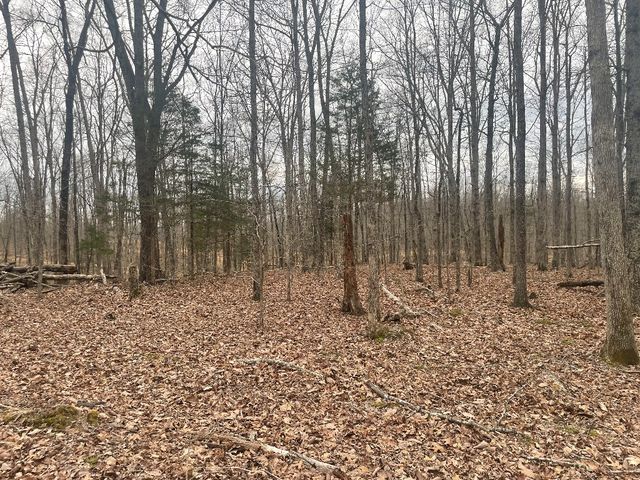135 Shelton Cemetery Road, Cumberland Furnace, TN 37051