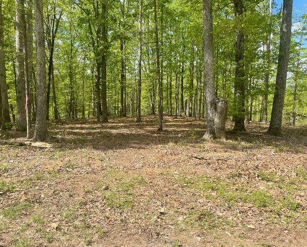 135 Shelton Cemetery Road, Cumberland Furnace, TN 37051