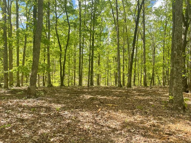 135 Shelton Cemetery Road, Cumberland Furnace, TN 37051