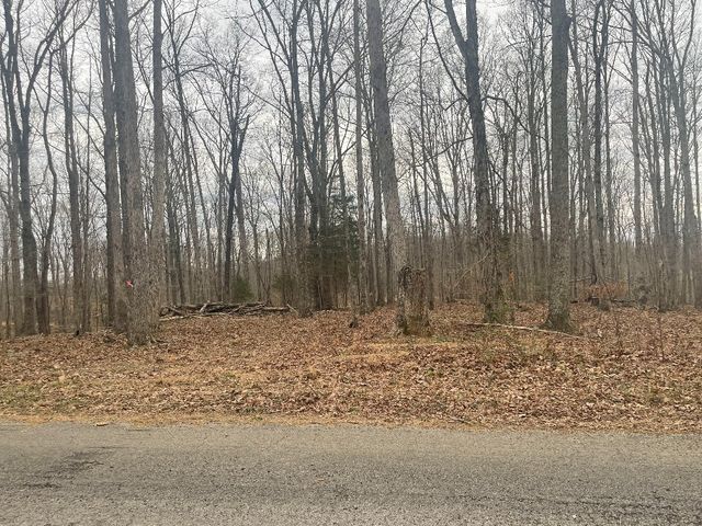 135 Shelton Cemetery Road, Cumberland Furnace, TN 37051