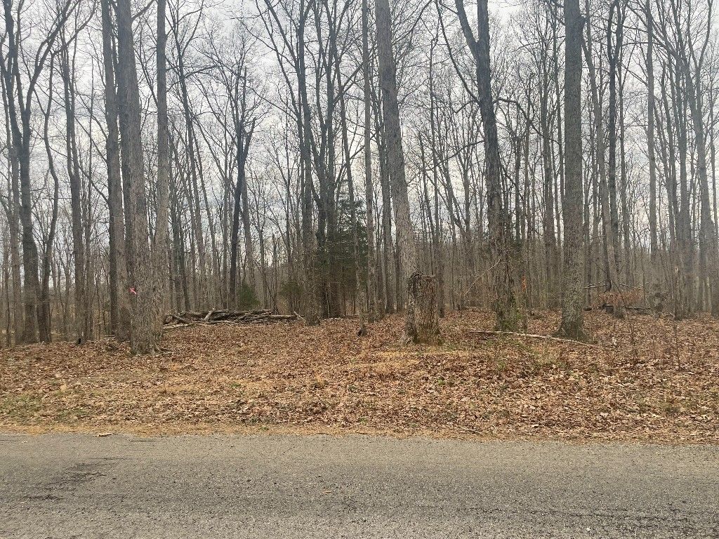 135 Shelton Cemetery Road, Cumberland Furnace, TN 37051
