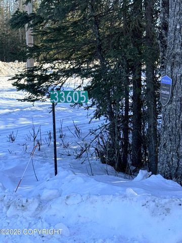 33605 Echo Lake Road, Soldotna, AK 99669