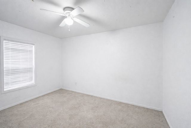 3906 Henderson Street, Greenville, TX 75401