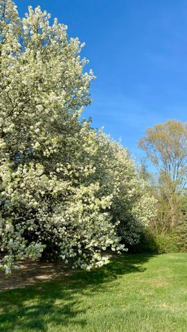 1923 Woodbine Drive, Canton Twp, MI 48188