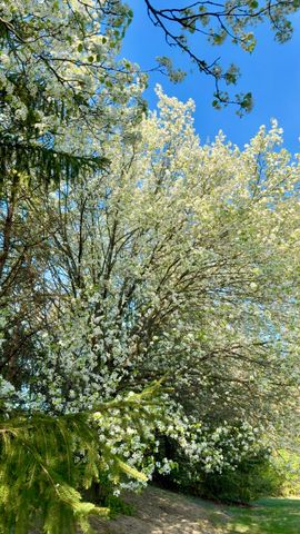 1923 Woodbine Drive, Canton Twp, MI 48188