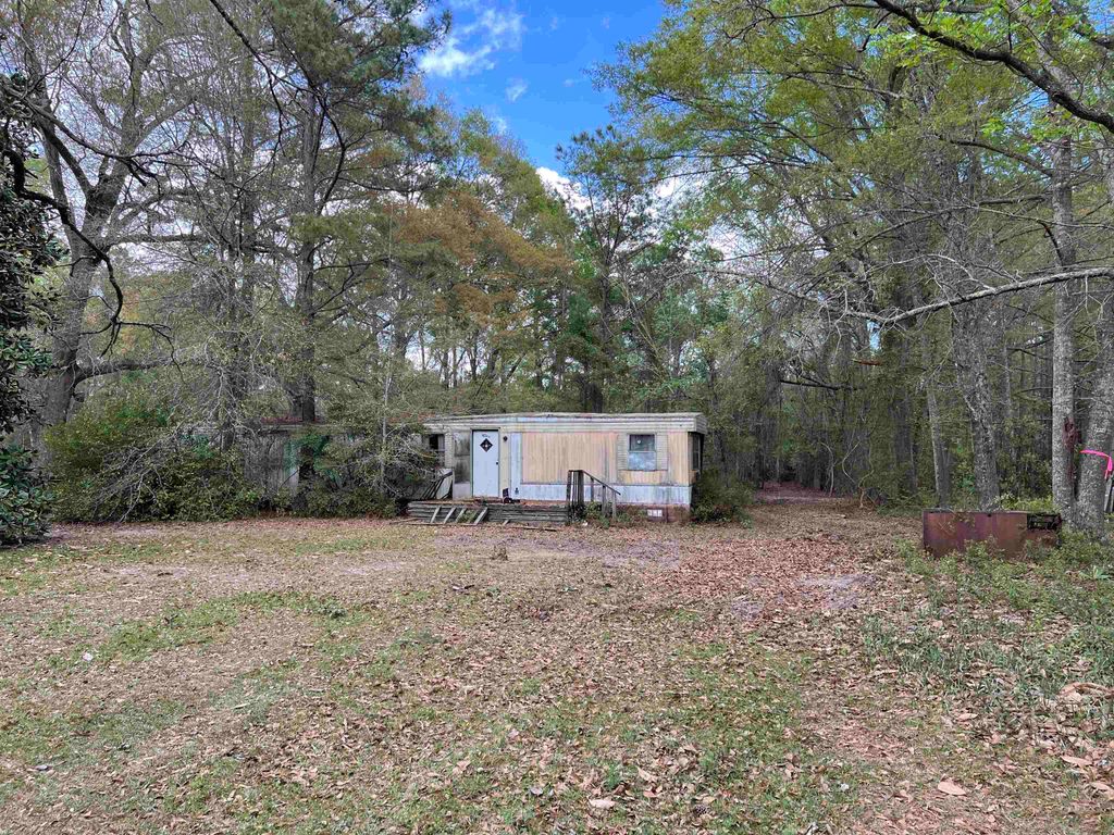 11094 Old Pee Dee Rd., Hemingway, SC 29554 — photo 2