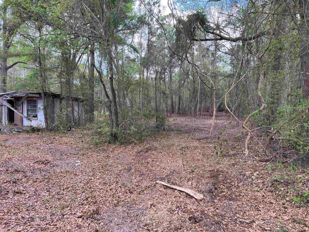 11094 Old Pee Dee Rd., Hemingway, SC 29554 — photo 4