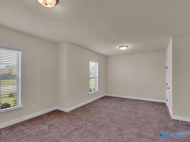 16979 Fieldway Circle, Harvest, AL 35749