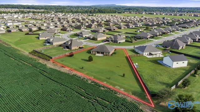 16979 Fieldway Circle, Harvest, AL 35749