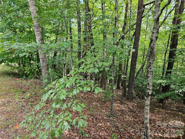 0 Hawks Terrace 313, Lake Lure, NC 28746