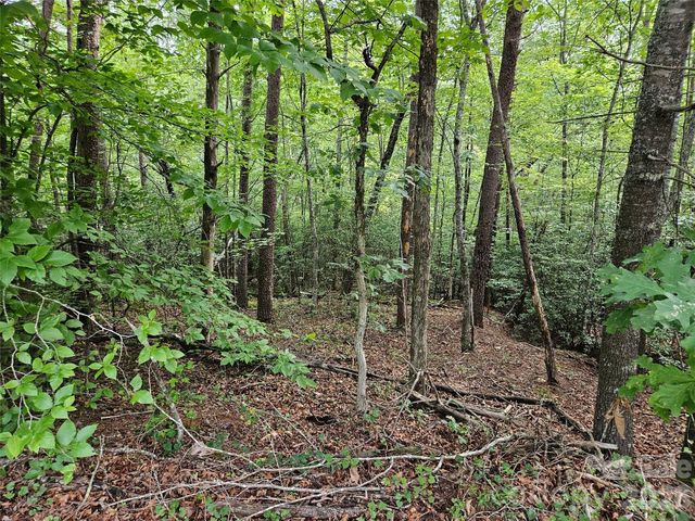 0 Hawks Terrace 313, Lake Lure, NC 28746