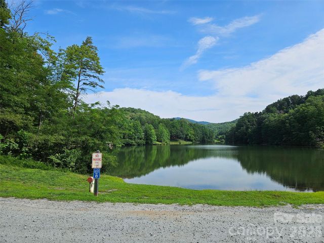 0 Hawks Terrace 313, Lake Lure, NC 28746