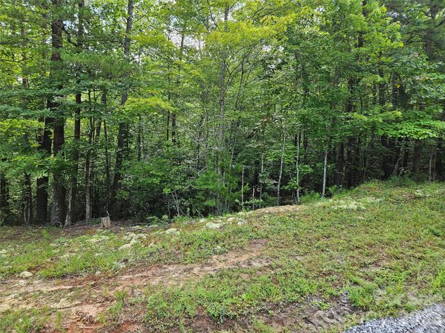 0 Hawks Terrace 313, Lake Lure, NC 28746