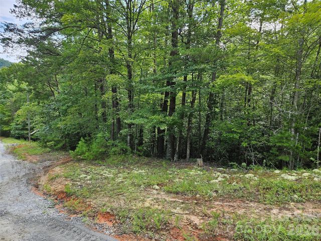 0 Hawks Terrace 313, Lake Lure, NC 28746